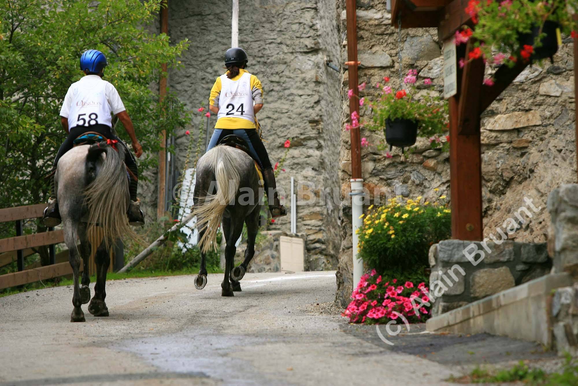 -58- Kisinger De Rivoiron (F DSA GRIS 1998) / Paulette Maldera -