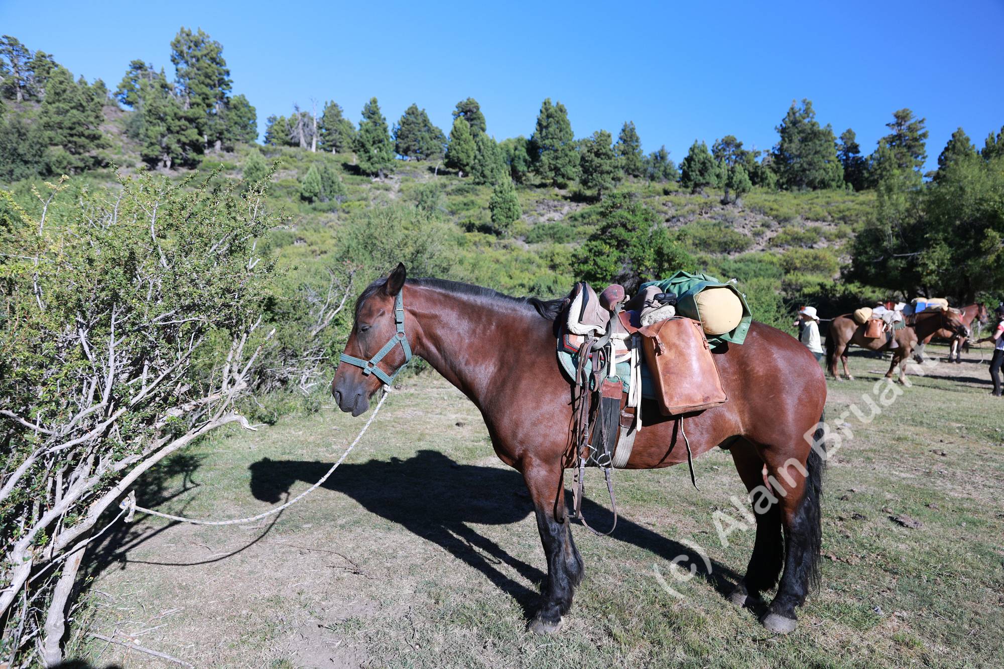 Ready to leave first camp
