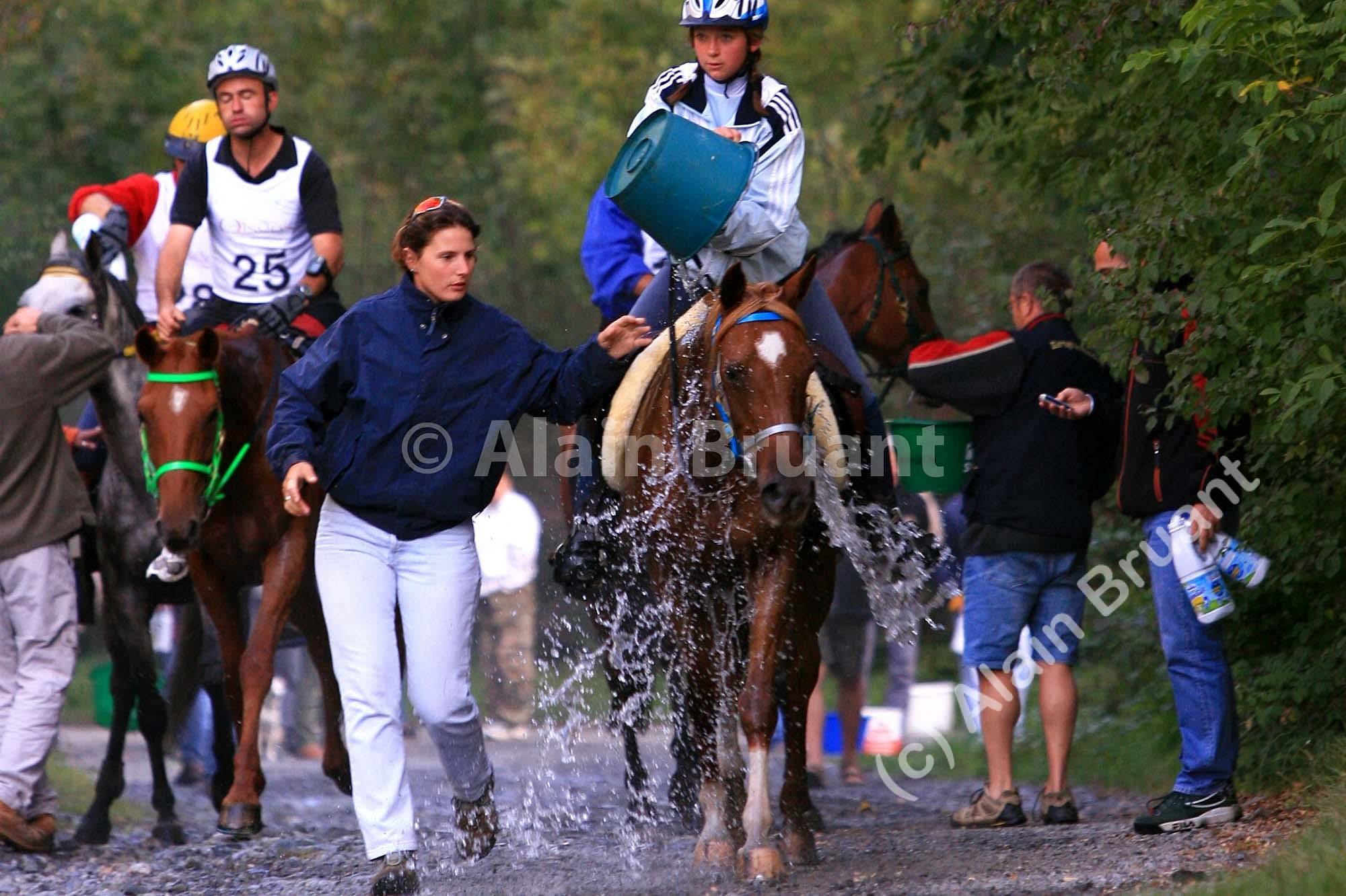 -42- Happy De Courterie (F PFS AL BRU 1995) / Marine Payen - 34e