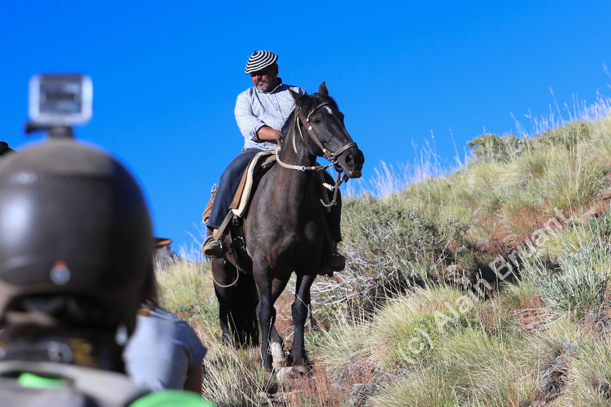 On the cuidador (herdsman)