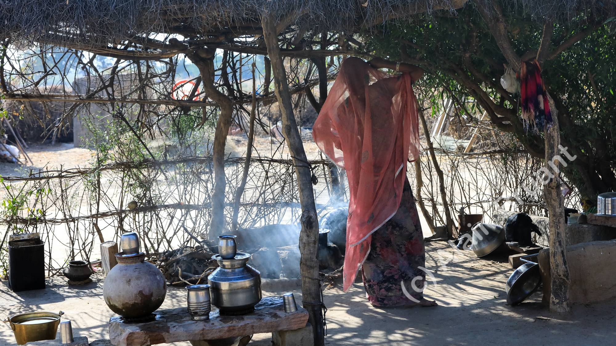 Danse en cuisine 